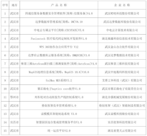 2024年湖北省首版次軟件產品暨關鍵軟件獨立研發(fā)企業(yè)清單正式公示